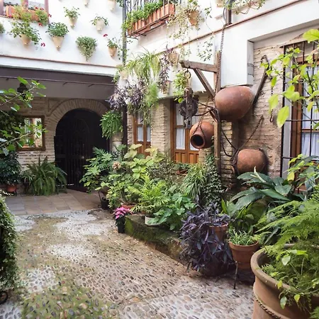 La Sultana Córdoba