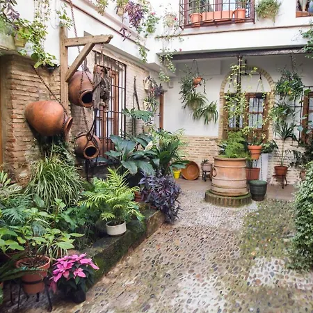 Apartamento La Sultana