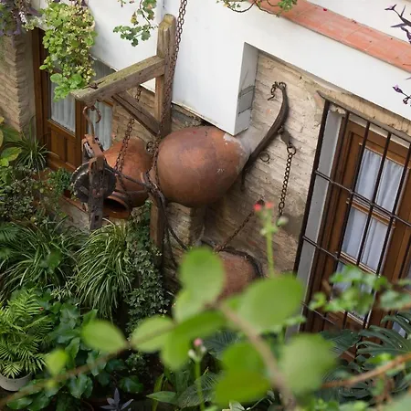 Apartamento La Sultana *